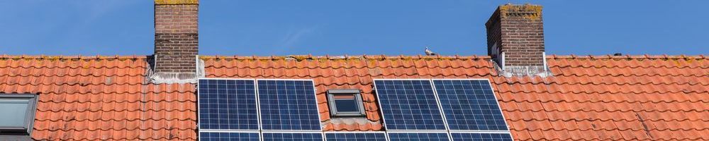 Dakinspectie Poeldijk