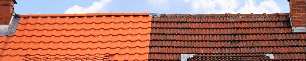 Nieuw dak in Poeldijk